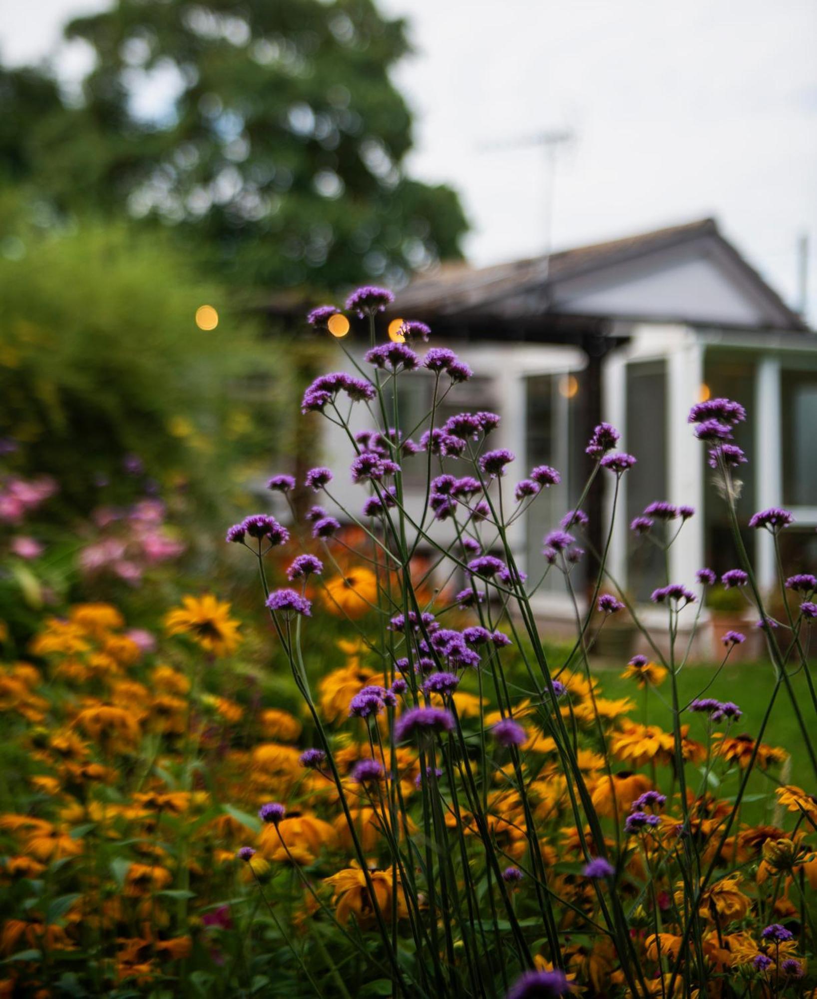 Peaceful, Country Setting In Suffolk, Near Coast Villa Halesworth Buitenkant foto